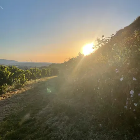 Zellight - Deine Auszeit Im Apartamento Zellertal